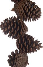 Guirlande dennenappels 100 cm. - Afbeelding 2