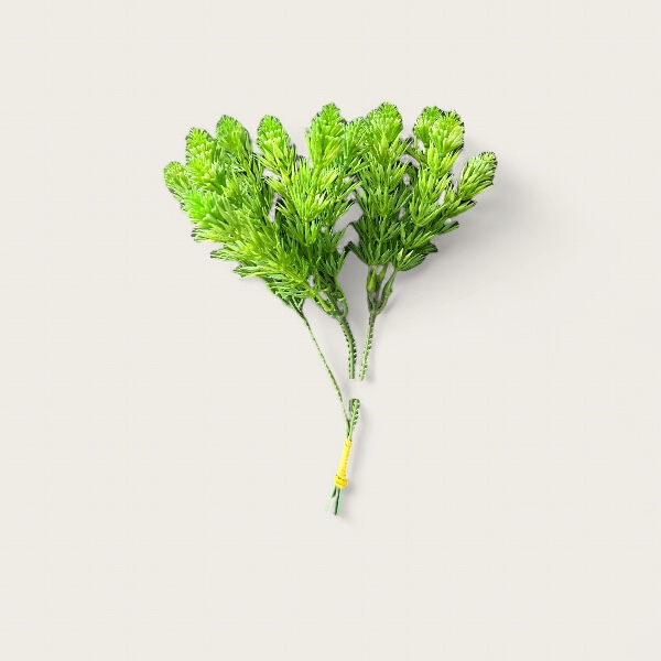 Photoroom_20250707_104127 kunst plant