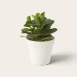 Decoratieve groene kunstplant in witte pot – 21 cm hoog - Afbeelding 2