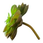 Kunstplant vetplant groen met gekleurde accenten – Ø 15 cm - Afbeelding 2
