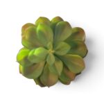 Kunstplant vetplant groen met gekleurde accenten – Ø 15 cm - Afbeelding 3